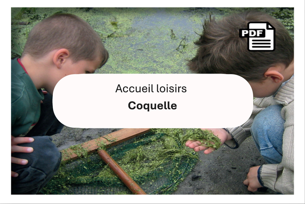 Alt Text
